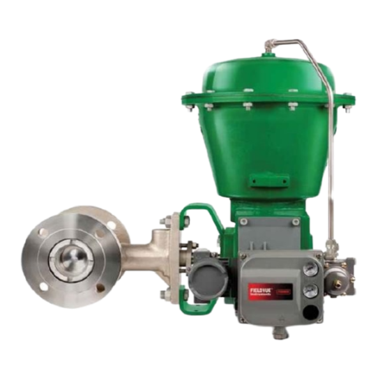 Fisher™ V250 控制阀