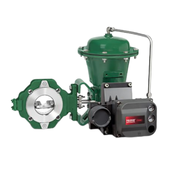 Fisher™ 8580 高性能蝶阀