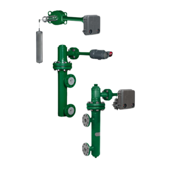 Fisher™ 249 系列浮筒传感器
